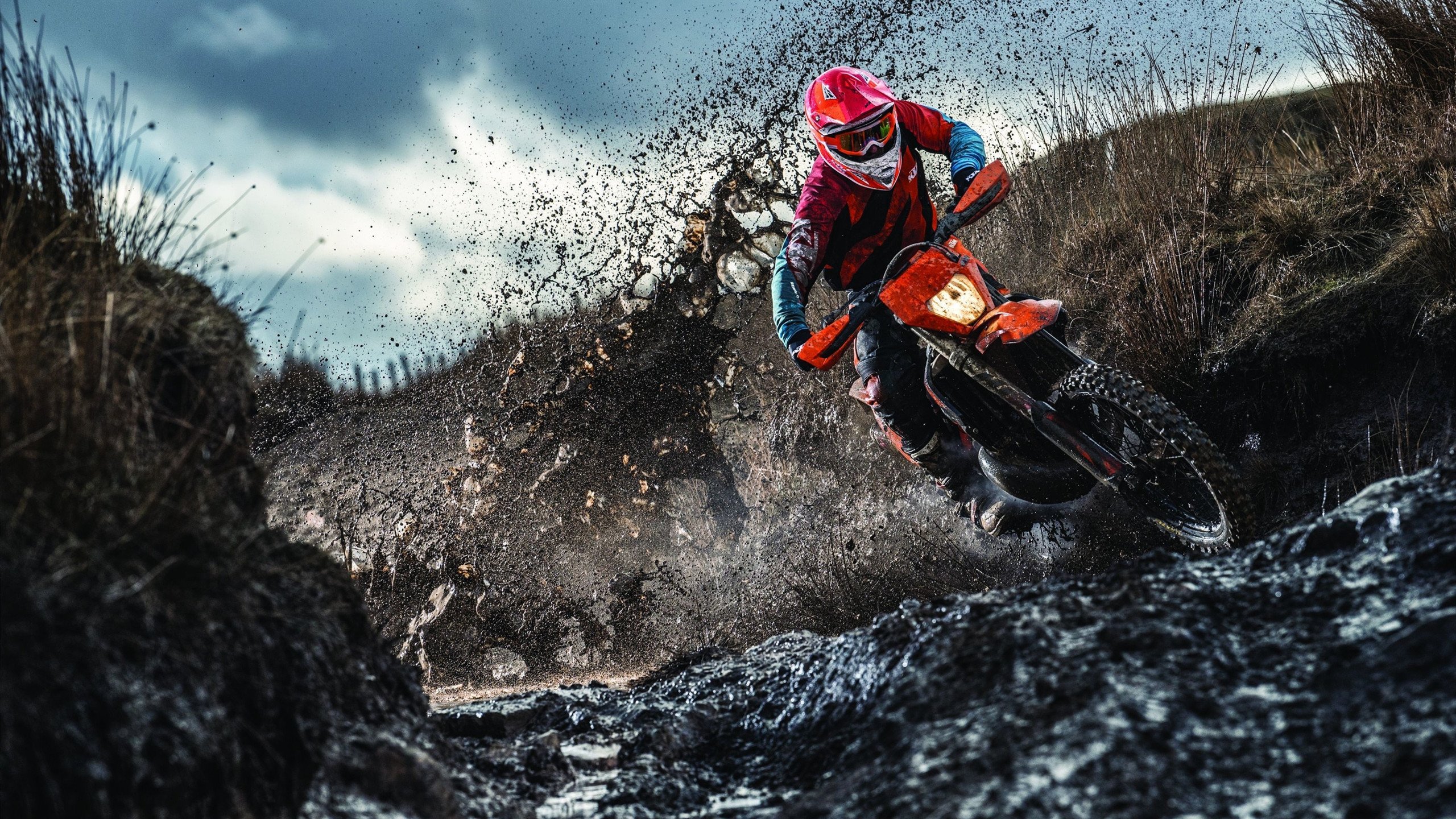 冰火对决,米切尔化身关键先生,辽宁硬仗力克北京